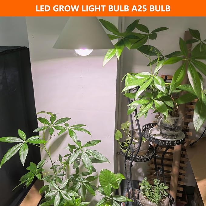 A25 LED Grow Light Bulb - 15W (150W Equivalent), Full Spectrum, E26 Base for Indoor and Outdoor Plants - Plus Size Bulb (6-Pack)