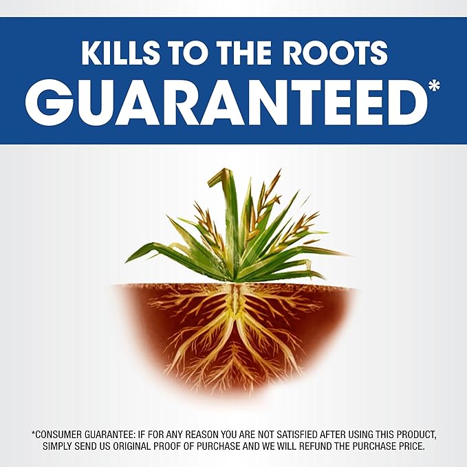 Roundup Weed and Grass Killer₄ Concentrate, Use Around Flower Beds and Trees, on Walkways, and in Other Areas in Yards, 64 fl. oz.