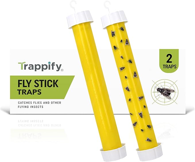 Trappify Hanging Fly Traps Outdoor: Fruit Fly Traps for Indoors | Gnat Trap | Gnat Traps for House Indoor | Fly Trap Indoor - Disposable Sticky Fly Trap for Indoor House Pest Control (2 Pack)