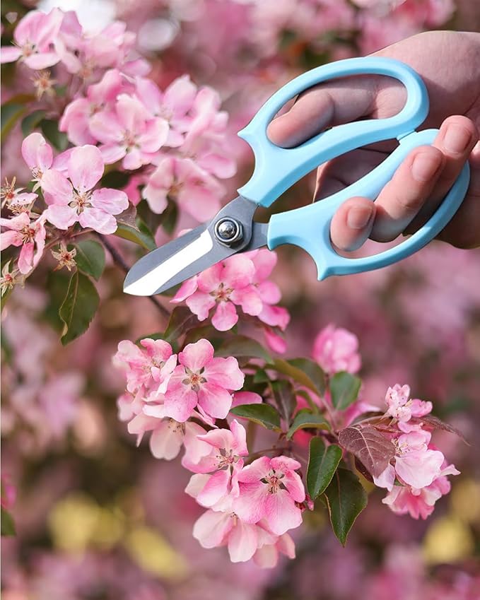 Flower Scissors - Stainless Steel Floral Scissors, Florist Cutters for Stems, Garden Plant Shears for Fresh Flowers (Blue, Pink) (2 PCS)