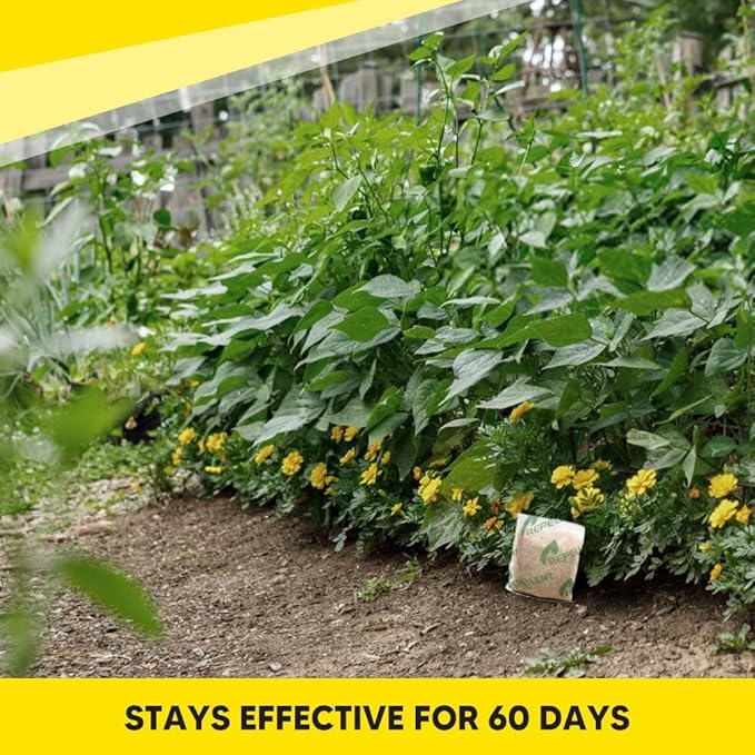 Squirrel Repellent, Chipmunk Repellant Outdoor, Squirrel Repellent Outdoor, Safe Deterrent for Gardens/Bird Feeders/Attic & Yard, Natural Mint Squirrel & Chipmunk Repellant for Plants - 10P