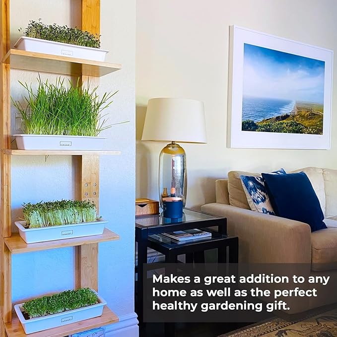 HAMAMA Microgreens Growing Kit Broccoli & Salad - Indoor Sprouts Mat - Seed Quilts Easy Setup Pack of 2 - Plastic Tray and Bamboo Frame