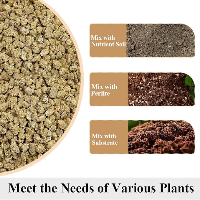 Succulent and Cactus Maifanitum Stones Garden Accessorie Rocks Pumice for Indoor Plants, Bonsai, Fairy Gardening, Vases Fillers, Terrarium, 10lb