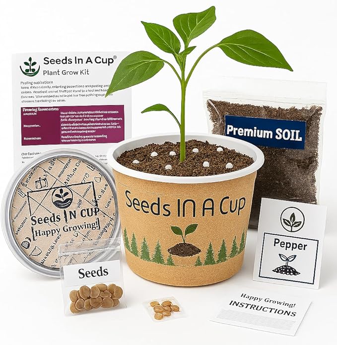 Wisteria Plant Grow Kit Indoor/Outdoor Starter Kit for Educational Growing | Great Gift Idea with Plastic Planter