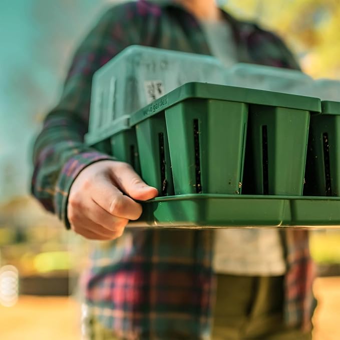 Vego garden Seedling Suite Products, 8 Pack Standard Seedling Trays with Seedling Tray Lids and 10" x 20" Bottom Watering Trays