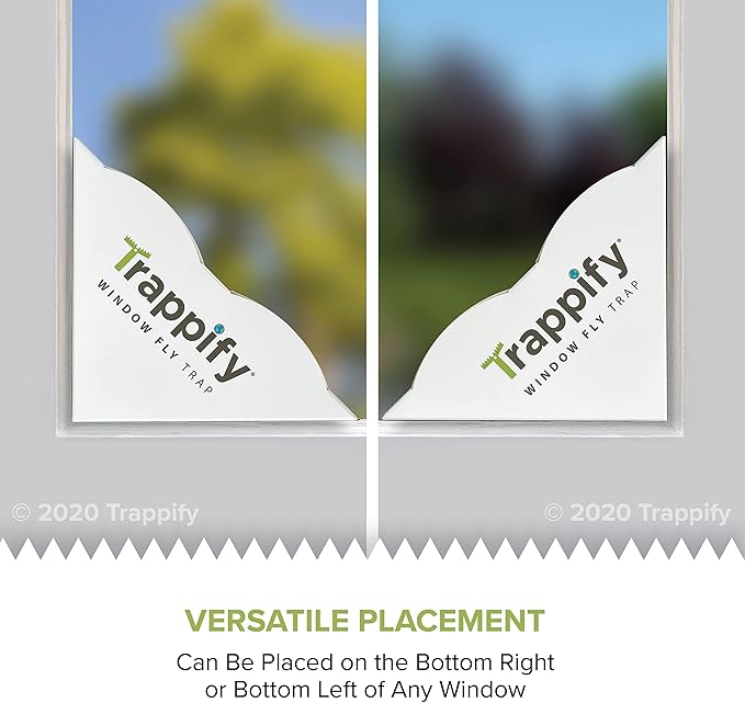 Trappify Fly Trap Indoor: Window Fly Traps for Home | Fruit Fly Traps for Indoors, Gnat Traps for House Indoor | Disposable Fly Trap with Sticky Adhesive Strips | Inside Bug Catchers (4 Pack)