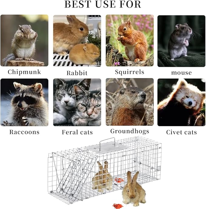 Animal Traps,Live Animal Trap for Cats,Rabbits, Squirrels,cat Trap for Stray Cats, Live Traps for Raccoons, Steel Foldable with Pedal Triggers (24 x 7 x 8 inches)