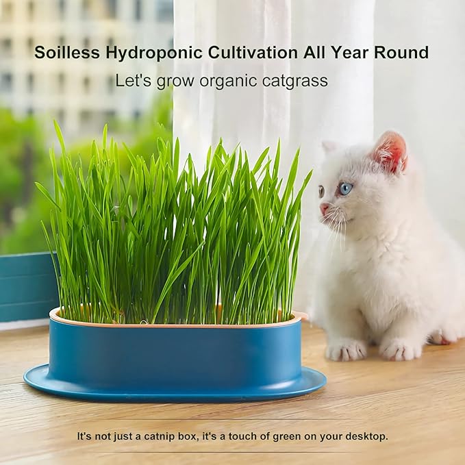 3Pcs Cat Grass Planter (No Seeds Included) Wheatgrass Planting Trays Hydroponic Cat Grass Growing Kits for Indoor Cats Soilless Organic Nursery Box Pet Grass Pot (H)