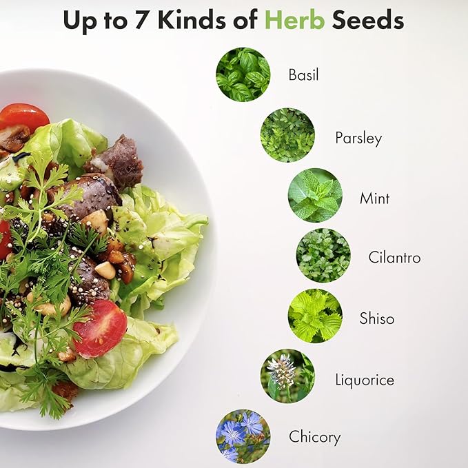 LYKOCLEAN Herb Seeds Pod Kit for AeroGarden, idoo, Ahopegarden, MUFGA Hydroponics Garden, 18-pods (350 Seeds+, Include Basil, Parsley, Mint, Cilantro, Shiso, Liquorice, Chicory)