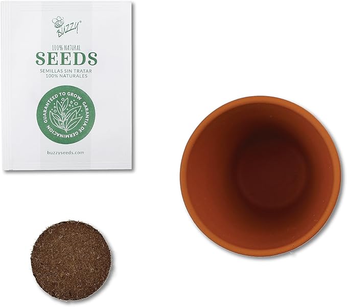 BUZZY Seeds Terracotta Mini Grow Pots | Herb, Plant, Flower Starter Kit for Kids & Adults | Assorted 6-Pack, Radiant Collection | Guaranteed to Grow | Best Indoor Grow Your Own Plant Gardening Gift