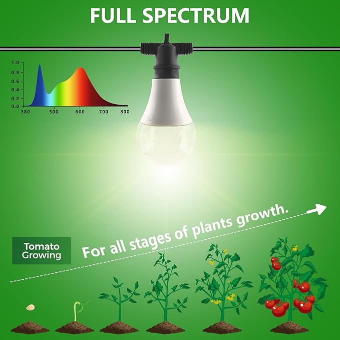 A25 LED Grow Light Bulb - 15W (150W Equivalent), Full Spectrum, E26 Base for Indoor and Outdoor Plants - Plus Size Bulb (6-Pack)