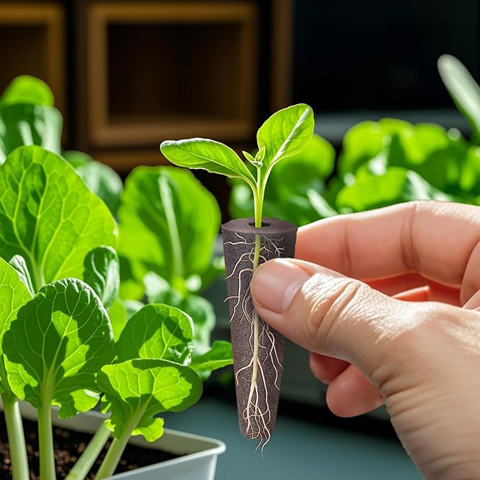 50 pcs Grow Sponges for Hydroponics Compatible with AeroGarden, Hydroponics Growing System Pods, General Hydroponics Rapid Rooter, Starter Plug for Seeds or Cuttings