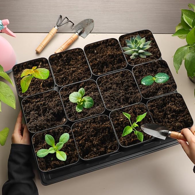 3.15 inch (8CM) Square Nursery Pots 100 pcs, Sturdy Seedlings Trays 5 Pcs, Seeds Starter Germination Tray, Microgreening Planter Nursery Propagation 5 Sets