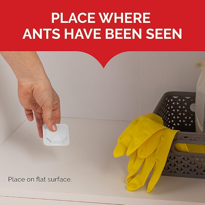 Hot Shot Ant Bait, 1 Pack, 4 count