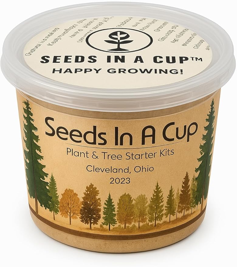 Plant Starter Kit - Money Plant