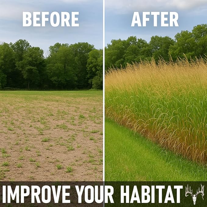BigAzz Switchgrass Seed, Bulk RC Big Rock Variety, Extra Tall Drought-Tolerant Native Perennial Grass for Deer Habitat, Bedding Areas, Green Screens & Food Plots (1 Pound)