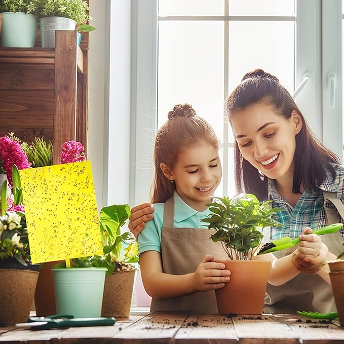 30-Pack Dual-Sided Yellow Sticky Traps for Flying Plant Insect Such as Fungus Gnats, Whiteflies, Aphids, Leafminers, etc (6x8 Inches, Included 30pcs Twist Ties)