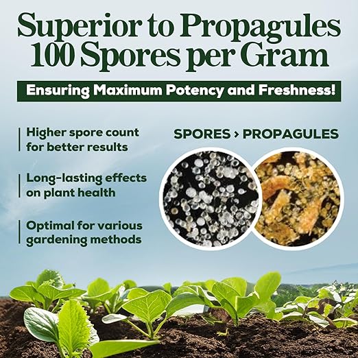 Mycorrhizal Fungi Organic Root Enhancer for Plants, Super Potent 100 Spores Per Gram, 5-Strain Blend, Rapid Results for Gardens, Houseplants, Lawns, Mycorrhizae Smart Grower 125 Grams for 125 Plants