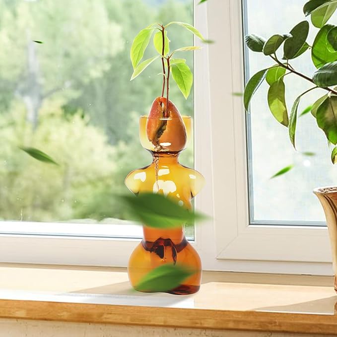 Propagation Vases for Plants Plant Propagation Jars Unique Body Avocado Vase Glass Planter Perfect for Seed Starting Water Rooting and Home Decor Gift for Father