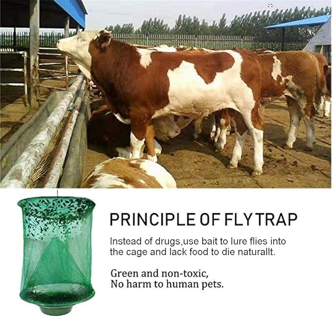 Ranch Hanging Catcher, Cage Catcher for Indoor and Outdoor, Family Farms, Park (6 Pack)