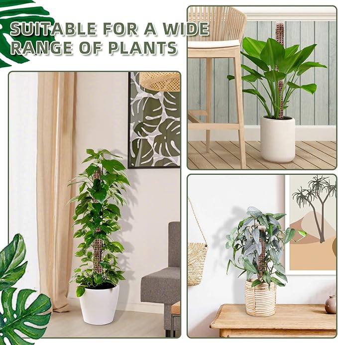 Moss Pole,Small Moss Pole Monstera Plant Support,Plastic Moss Pole for Plants Indoor and Climbing Plants-Mighty Plant Support.(White,2)