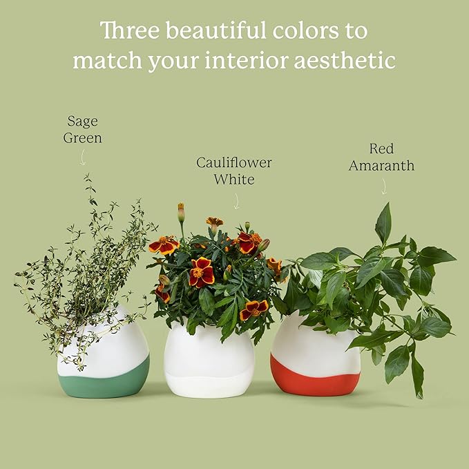 GARDYN Vase Complete Kit-Cauliflower White | Designed for use Hydroponics Growing System Kits & Vertical Garden Hydroponic Gardens | Bring Indoor Plants to All Areas of Your Home