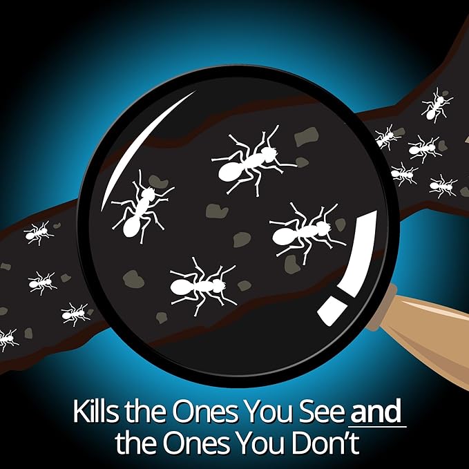 Combat Indoor and Outdoor Ant Killing Gel, 27 Gram