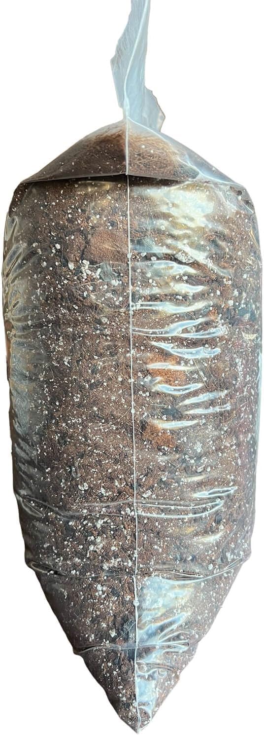 Hoya Classic Potting Soil - rePotme Houseplant Potting Soil Mix (Mini Bag - 2 Quarts)