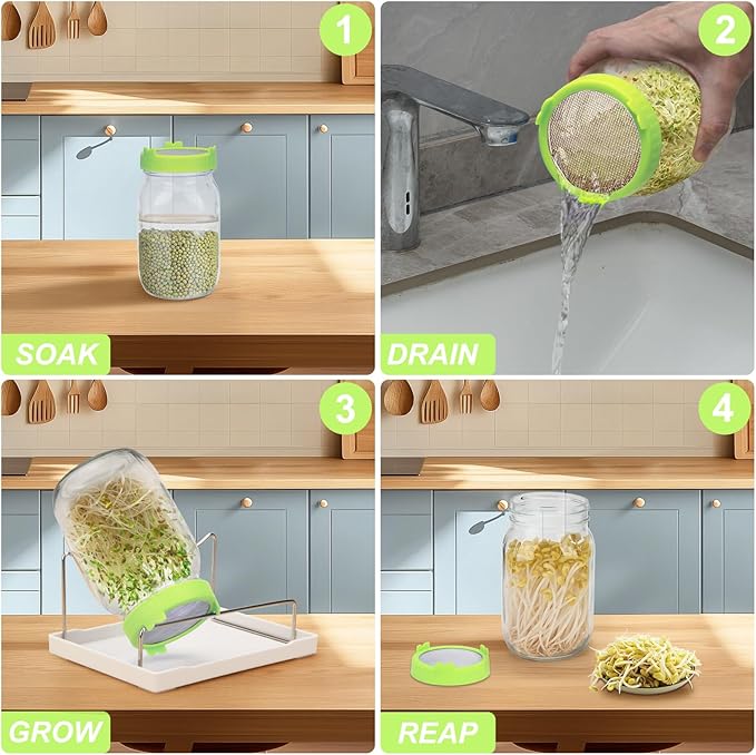 Lulonpon Sprouting Kit, 2 Sprouting Jar Kits, Wide Mouth Quart Mason Jars with Stainless Steel Screen Sprout Lids,1000ml Sprouts Growing Kit, Seed Sprouter Set for Growing Broccoli, Bean, Alfalfa 