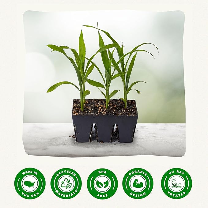 Epic Gardening Reusable Seed Starter Tray - 6 Cell/12 Seedling Starter Trays - Easy Watering, Indoor Greenhouse, Plant Starter, Gardener-Friendly for Seedlings | UV-Treated & BPA-Free - Black