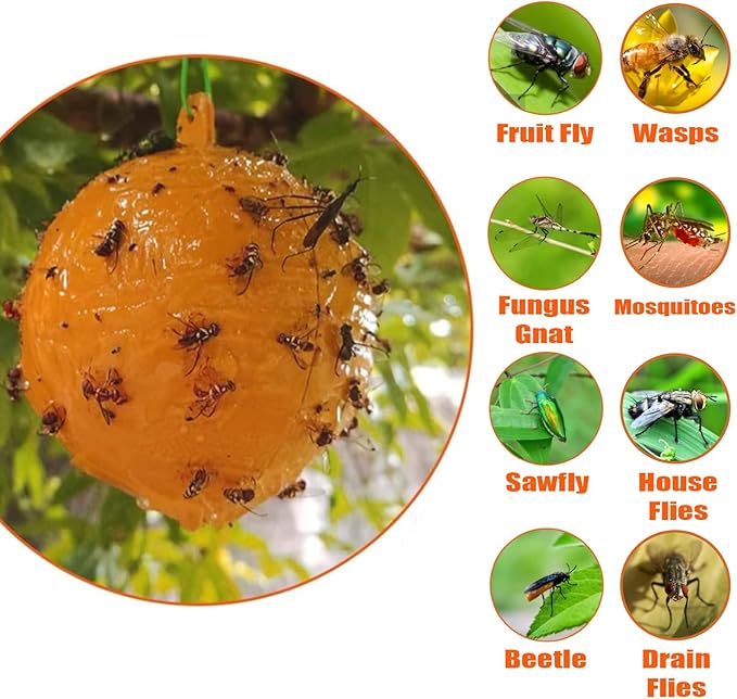 Hanging Fly Sticky Ball Fly Trap Outdoor, 6 PCS Fruit Fly Traps Ball, Hanging Sticky Bugs Gnat Ball for Indoor Garden Plants Trees Flies Gnat Wasp Bugs