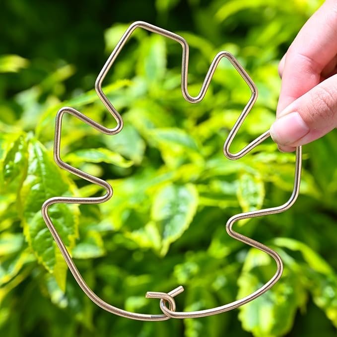 5.5 * 4.7IN Monstera Stem Support Stake with Clips - 5Pcs Durable Climbing Plant Support for Monstera, Fishbone Cactus, Easy Installation, for Plant Lovers