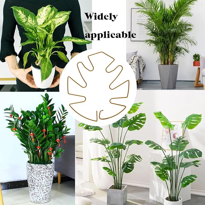Spiritlele 5 Pcs Gold Plant Stem Support Holder Set Monstera Plant Support Clamp Growth Accessories for Indoor Plants Small