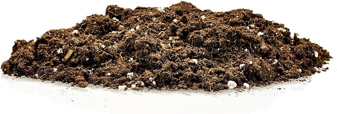 Money Tree Potting Soil Mix for Planting or Repotting Guiana Chestnut, Soil Blended to Properly Grow Money Tree Plants (4 Quart Bag)