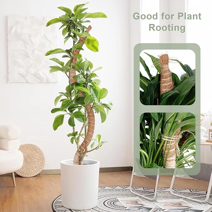 3 Pack 60 Inch Moss Pole for Plants, Bendable Moss Pole for Plants Monstera, Tall Moss Poles for Climbing Plants Indoor, LargeSupport, Garden Trellis Stick Stakes