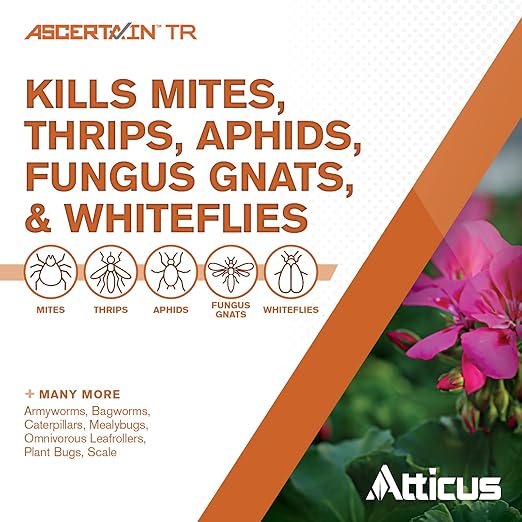 Atticus Ascertain TR Greenhouse Fogger (2oz Can) - (Compare to Attain) - Total Release Bifenthrin Insecticide/Miticide - Controls Mites, Aphids, Thrips, Fungus Gnats (Packaging May Vary) (1 Pack)