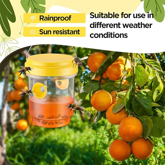 Qualirey 4 Pcs Wasp Traps for Outdoors Wasp Killer Hanging Bee Traps Reusable Fly Bee Killer for Indoor Outdoor Patio Garden Home (Yellow)