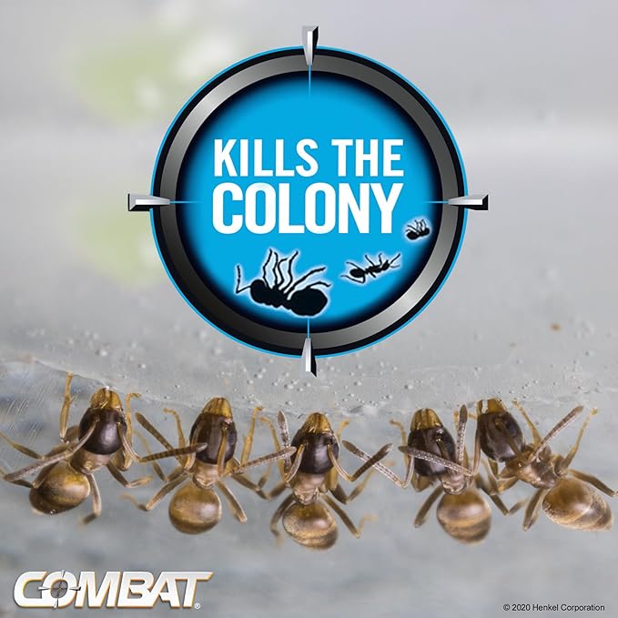 Combat Indoor and Outdoor Ant Killing Gel, 27 Gram (Pack of 12)