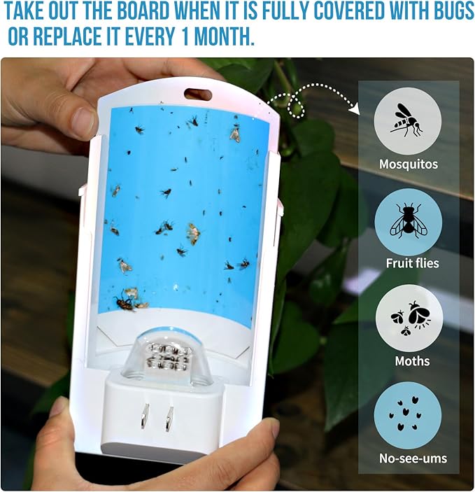 2 Flying Insect Traps & 8 Cartridges - Plug in Fruit Fly Trap for Indoor - Bug Catcher for Gnats, House & Fruit Flies - Mess-Free with Blue & UV Light (2 x Devices & 8 x Refills)