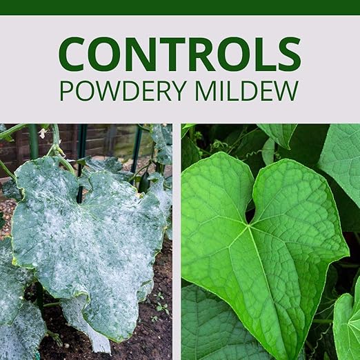 Humboldts Secret Flower Shield | Insecticide, Pesticide, Miticide, Fungicide | Bug Spray for Plants | Spider Mite & Powdery Mildew Control | Indoor & Outdoor | Houseplant & Garden | 2 Ounce