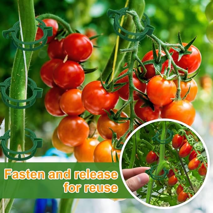 200 Pcs Plant Support Tomato Clips, Garden Clips, Crop Clips for Vine Vegetables, Fixing Tomato, Sweet Pepper, Eggplant, Makes Plants Grow Upright and Healthier(Green)