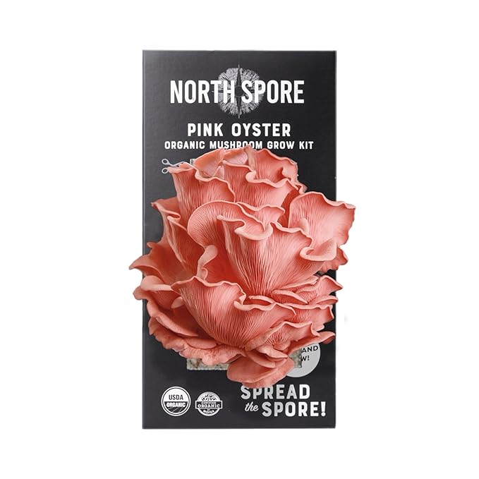 (3-Pack) North Spore Organic Blue, Pink, and Golden Oyster Mushroom Spray & Grow Kits (4 lbs each) | USDA-Certified Organic, Non-GMO, Beginner-Friendly & Easy to Use | Handmade in Maine, USA