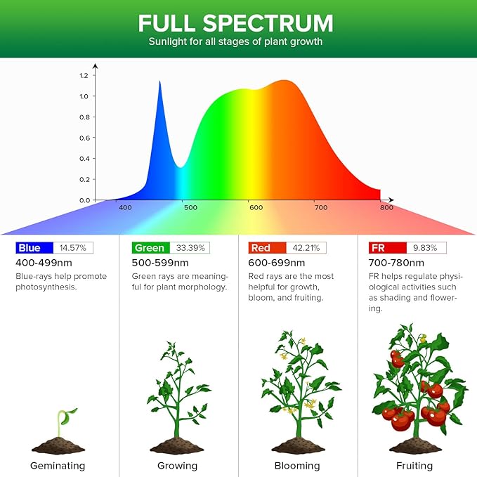 Grow Light Bulb, PPF 65.6 umol/s LED Full Spectrum, 36 W (400 Watt Equivalent) Grow Lights with Optical Lens for High PPFD, E26 Base, Energy Saving Plant Lights for Seeding and Growing