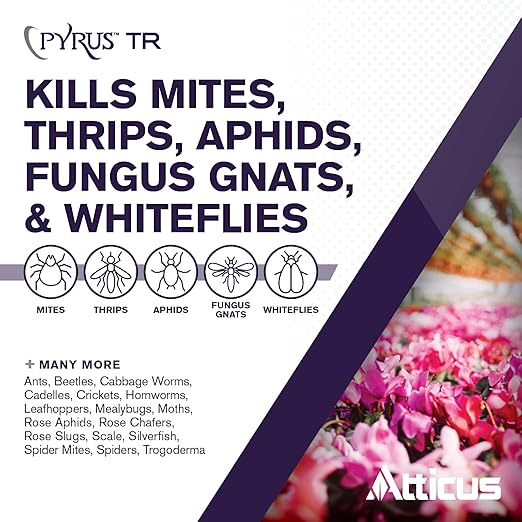 Atticus Pyrus TR Greenhouse Fogger (12 Pack) - Total Release Pyrethrin Insecticide/Miticide - Controls Mites, Thrips, Aphids, Whiteflies, Fungus Gnats (Packaging May Vary)