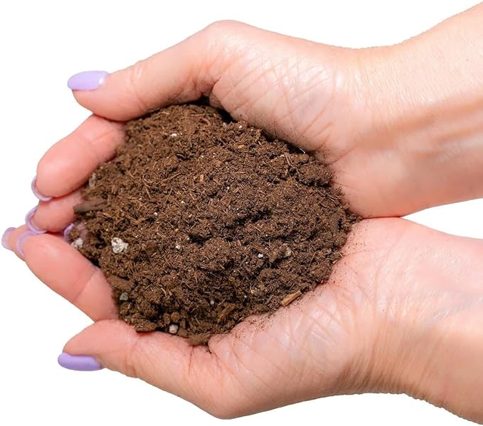 Fiddle Leaf Fig House Plant Soil Premium All Purpose Blend - Peat Moss, New Zealand Bark, Coco Chips and Fibers, Perlite - 1 Quart Bag