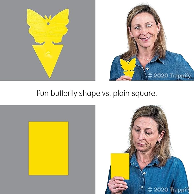 Trappify Sticky Gnat Traps for House Indoor - Yellow Fruit Fly Traps for Indoors|Outdoor Plants | Insect Catcher for White Flies, Mosquitos, Fungus Gnats | Disposable Glue Fly Trap Indoor (100 Pack)