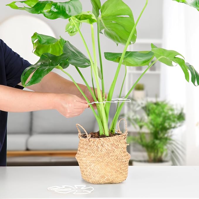 10PCS Iron Monstera Plant Support, Uniquely Designed Indoor Plant Accessories, Stable Plant Support Stakes for Indoor Plant, Turtle Shell Bamboo Clamp Set for Thriving Growth