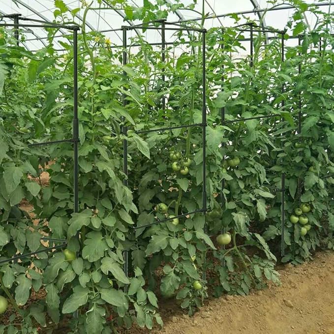 6 Package up to 48in Tomato cage Garden Grid Plant Support Posts with Adjustable Tomato cage Vegetable Grid (6pack)