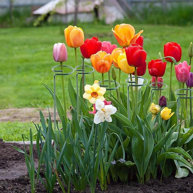 36 Inch 12 Packs Plant Support Stakes,Garden Single stemmed Plant Support Hoops, Plant Prop, for Flowers,Orchid, Tomatoes Peony Lily Rose (36 inch)