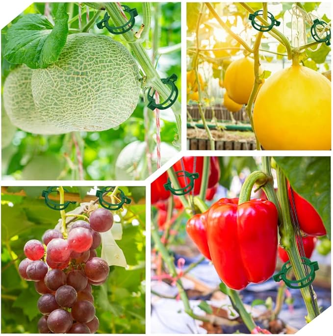 200 Pcs Plant Support Tomato Clips, Garden Clips, Crop Clips for Vine Vegetables, Fixing Tomato, Sweet Pepper, Eggplant, Makes Plants Grow Upright and Healthier(Green)